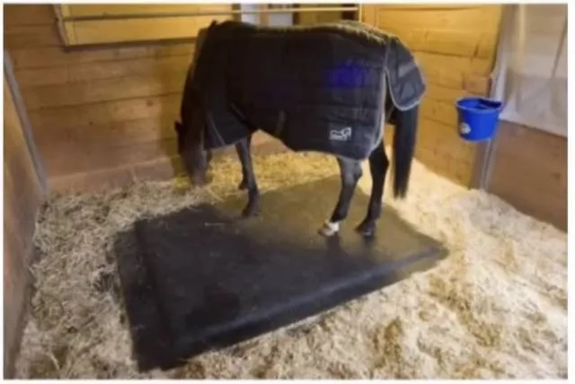 Tapis de box Expdition Rapide