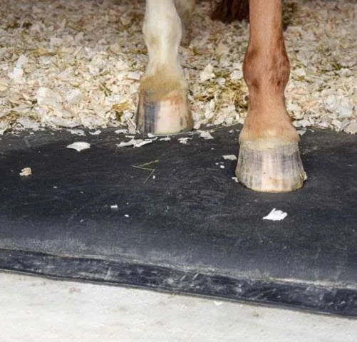 Offre Exclusive Matelas mmoire de forme cheval 50kg