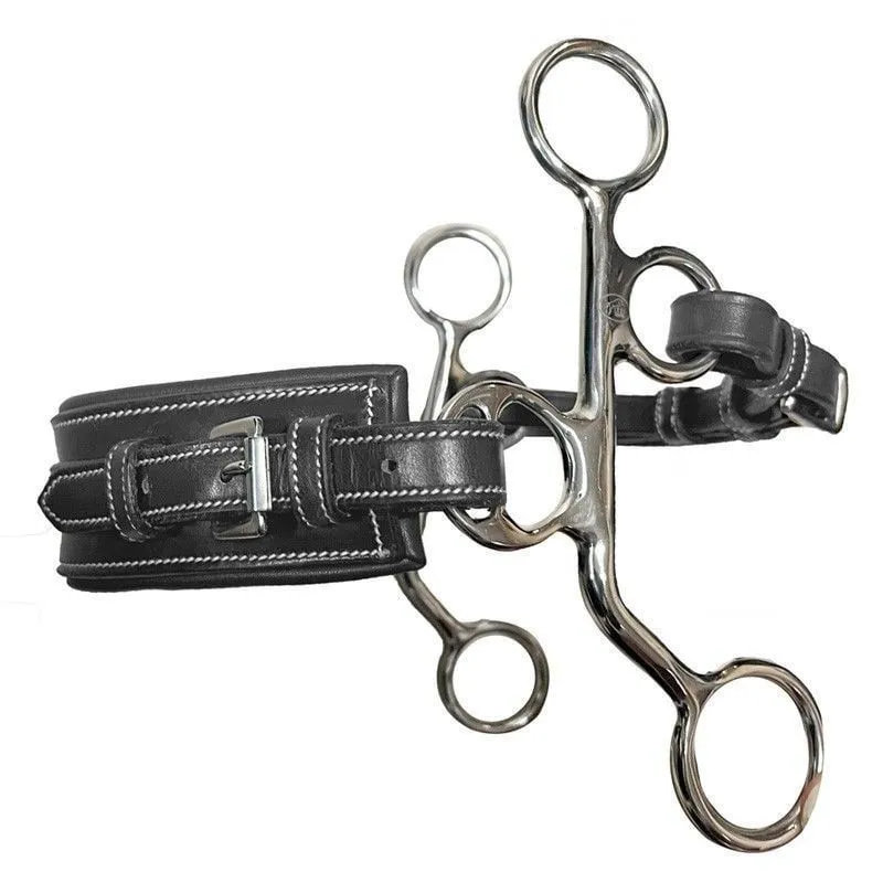 Seulement Aujourdhui Hackamore PONEY cuir petites branches nez rectangle JUMPIN - HAVANE - INOX
