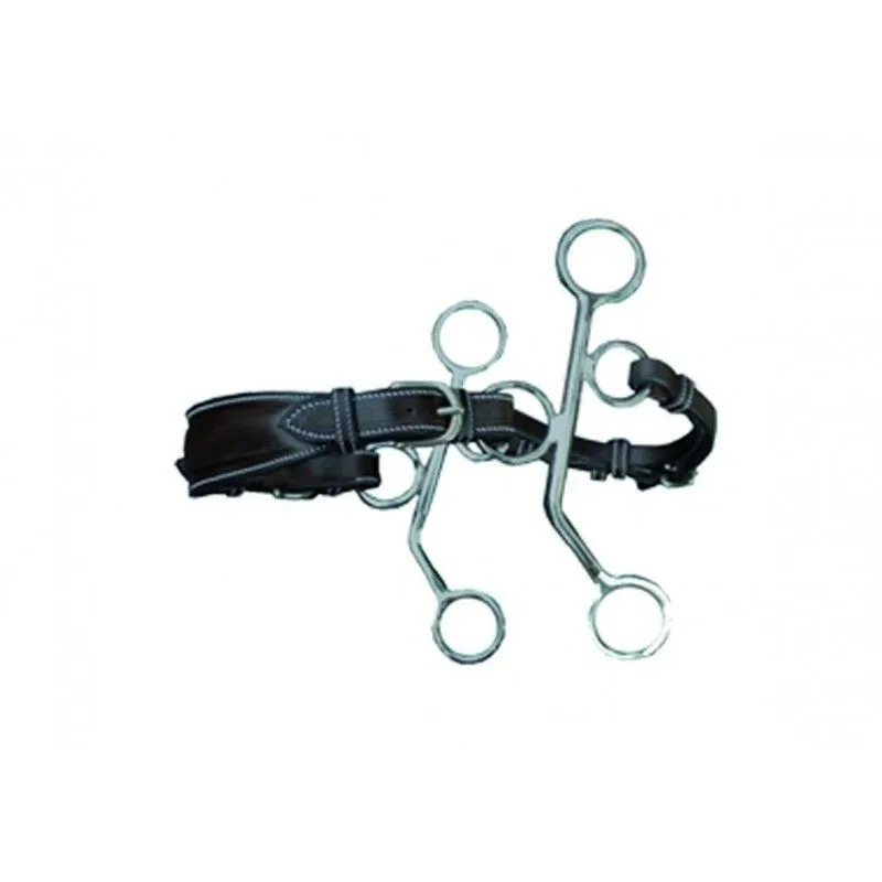 Hackamore cuir branches courtes JUMPIN - HAVANE - INOX Quantit Limite