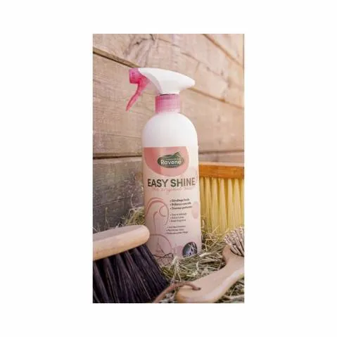 Nouvel Arrivage Lustrant Dmlant Easy shine Ravene