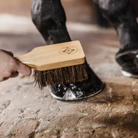 Nouvel Arrivage Brosse sabot - Kentucky - Naturel - Unique