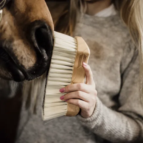 Meilleur Prix Bouchon poils doux - Kentucky - Beige - Unique