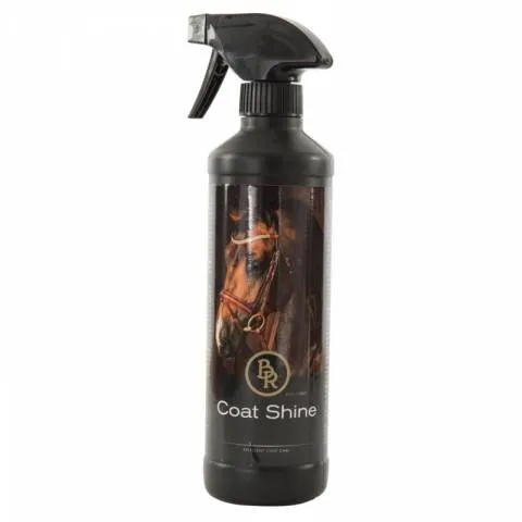 Spray coat shine 500ml BR Vente Flash
