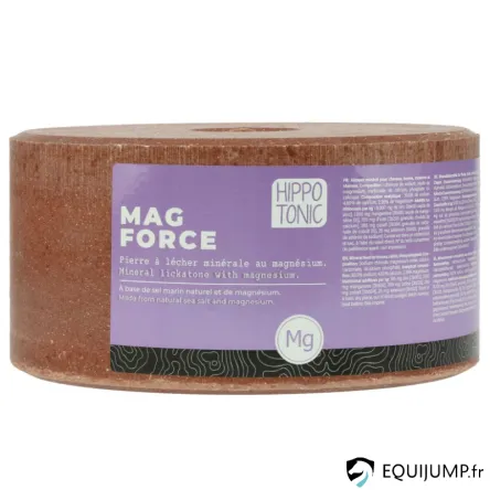 Offre Exclusive Pierre Sel Magforce 3kg HIPPOTONIC - 3KG