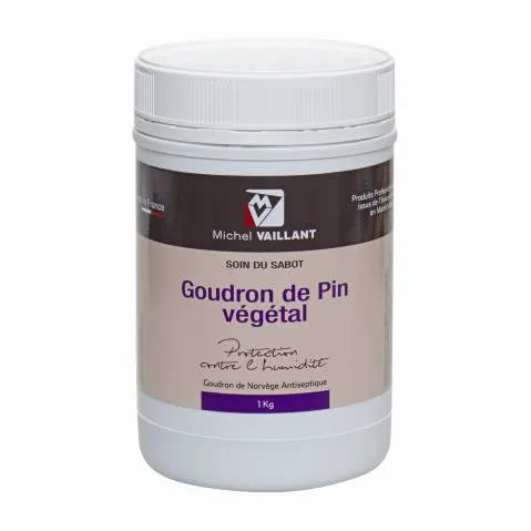 Goudron de pin vgtal Michel Vaillant - Pot de 1 kg Commander Maintenant