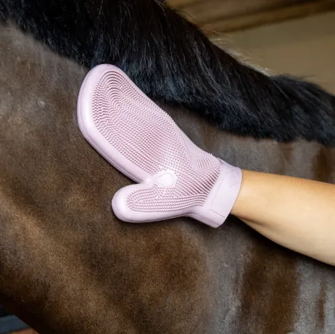 Prix Promo Gant de pansage caoutchouc - Grooming Deluxe - Rose pale - Unique