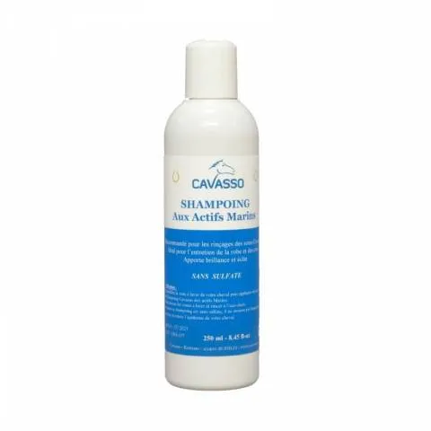 Shampoing aux Actifs Marins Cavasso Dernier Modle