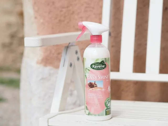 Quantit Limite Dmlant easy shine - Ravene - 750ml