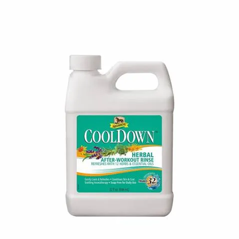 Achetez Aujourdhui Absorbine Cool Down - Absorbine - 950 ml - 950 ML