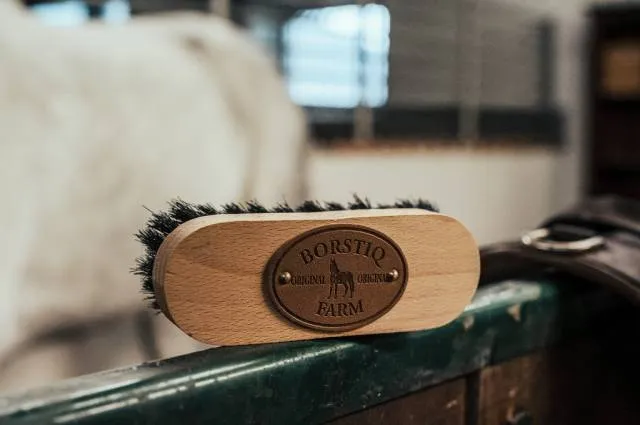 Populaire Brosse de tte Borstiq - fibres polypropylne, manche en bois