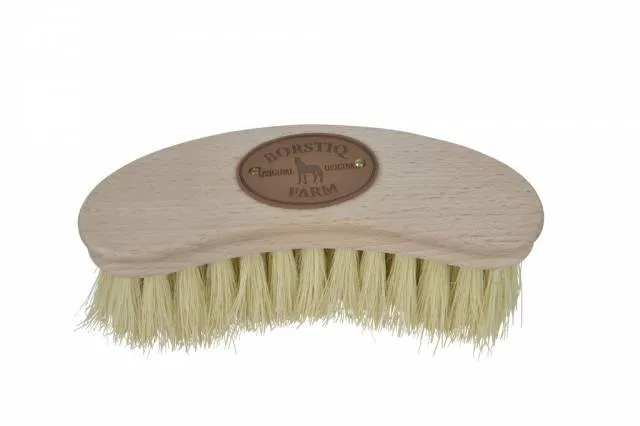 Brosse banane Cactus/Crin mex Borstiq Nouveaut