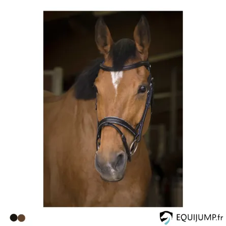 Soldes Bridon Rock Norton Pro - COB/PUR-SANG - NOIR