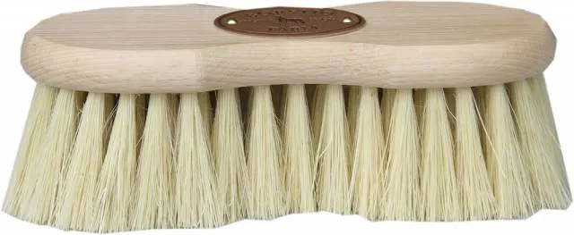 Brosse de pansage infini cactus – Borstiq – ergonomique Expdition Rapide