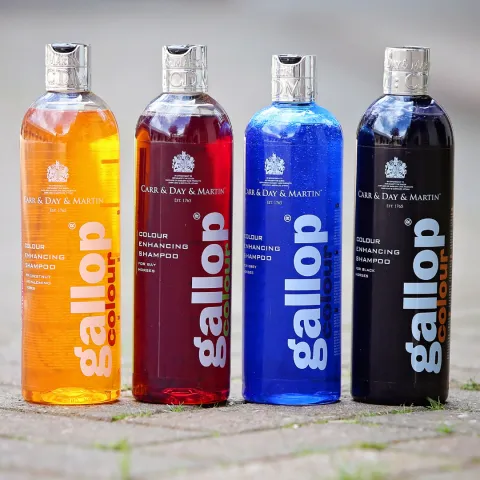 Satisfait Ou Rembours Shampoing Gallop Color - Carr & Day & Martin LTD - Robe alezan/palomino - 500ml