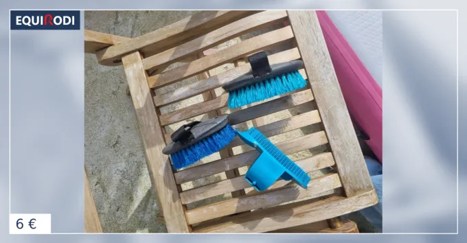 Lot 3 brosses Vente Flash