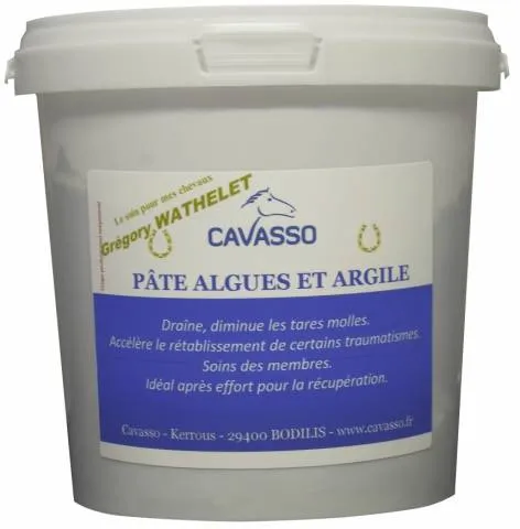 Meilleure Vente Pte d'algues Argile - Cavasso