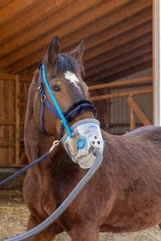 Rduction Masque nbulisation avec accessoires Air One - Hippomed - Cheval