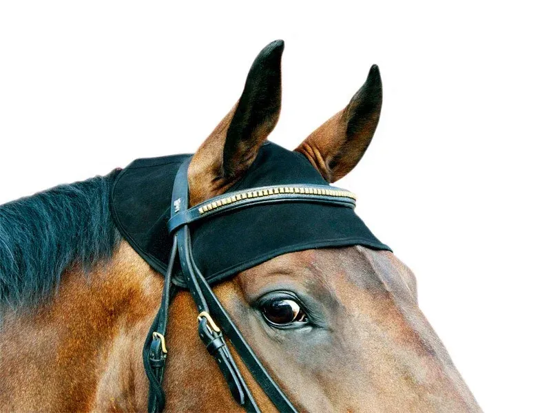 Satisfait Ou Rembours Protge nuque Back On Track - L