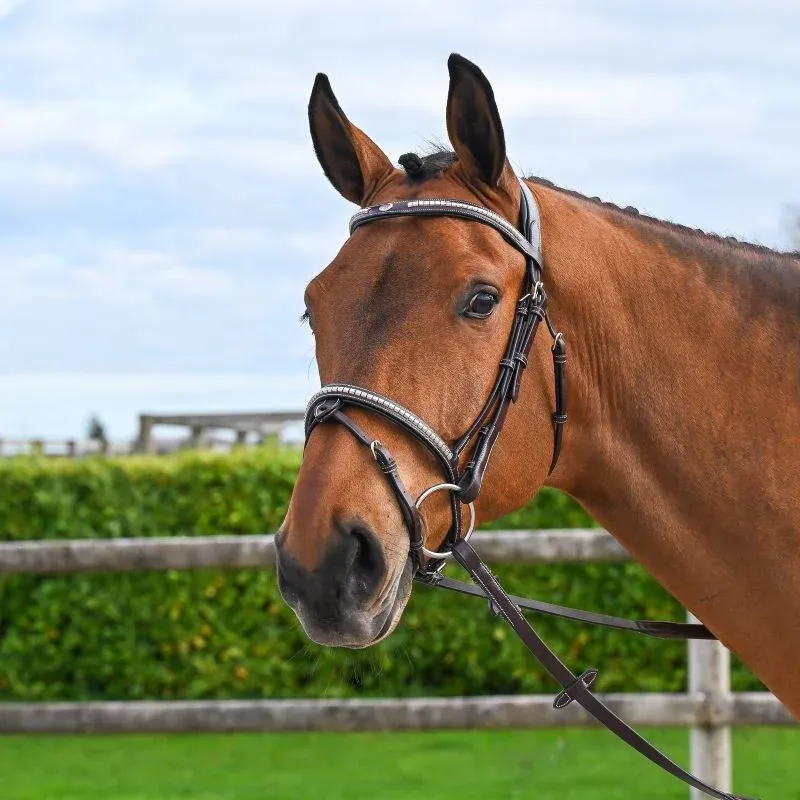 Commander Vite Bridon Clincher Jump'In One Premium - Cob - Havane