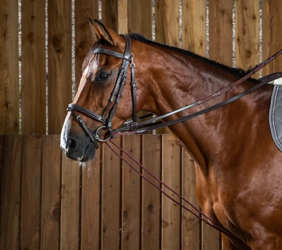 Rnes allemandes Leather/Nylon 5/8 Working By Dy'on - Cheval - Brun Seulement Aujourdhui