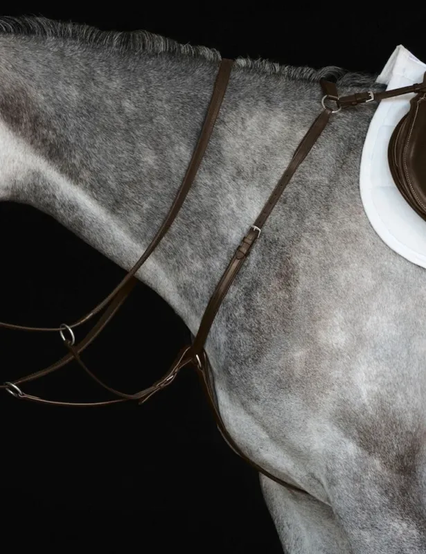 Top Vente Collier de chasse IV Collegiate - Cheval - Marron