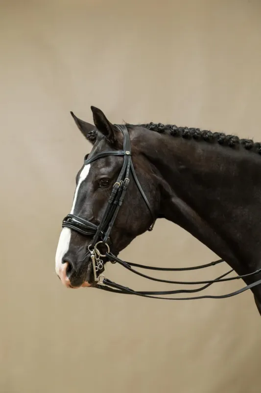Bride Muserolle Large Vernie Working By Dy'on - Cheval - Noir Satisfait Ou Rembours