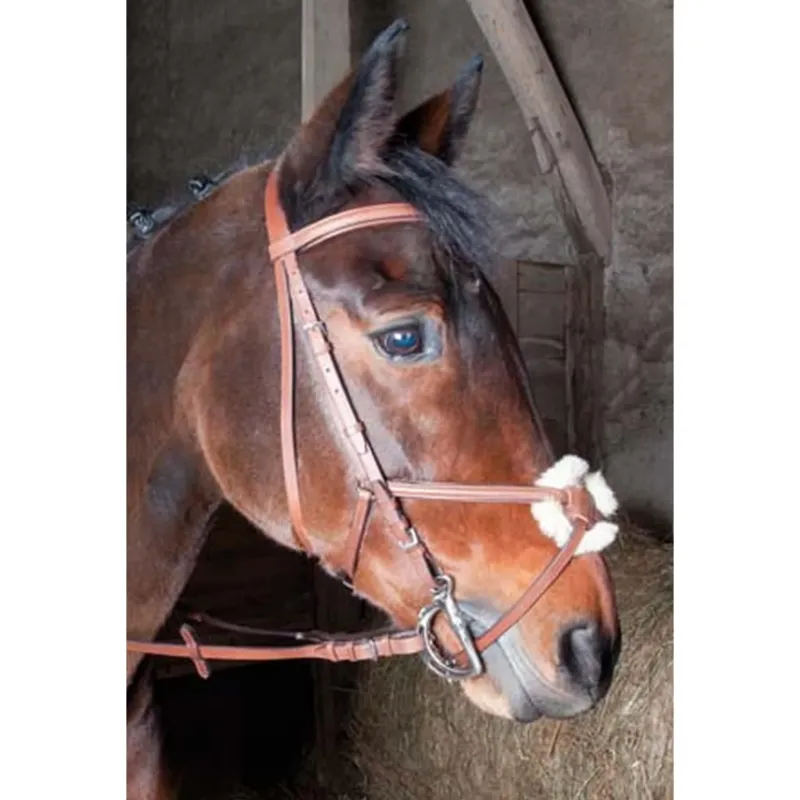 Meilleur Prix Bridon Sisley Tde T muserolle croise T de T - Poney - Tabac