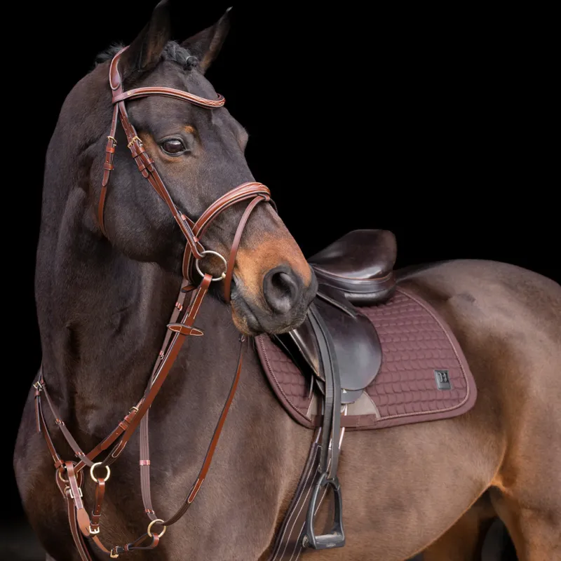 Martingale HV Polo Legacy - Poney - Marron Expdition Rapide
