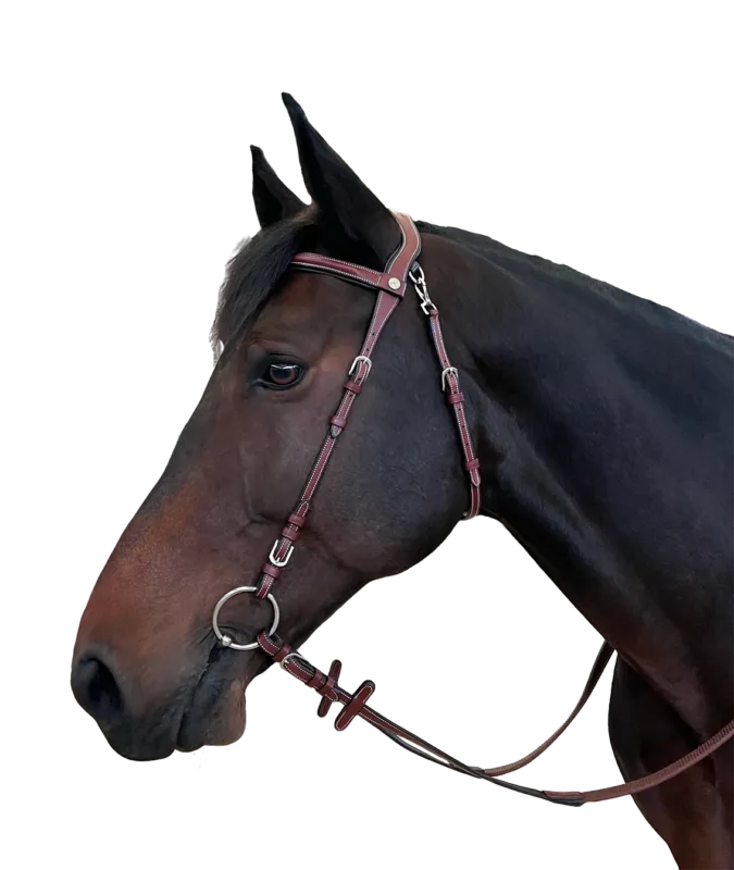 Bridon Flags & Cup Freedom - Poney - Marron Nouveaut