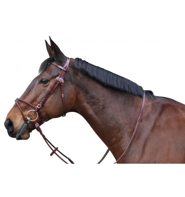 Populaire Bridon Lexington Atlanta Combine - Cob - Camel
