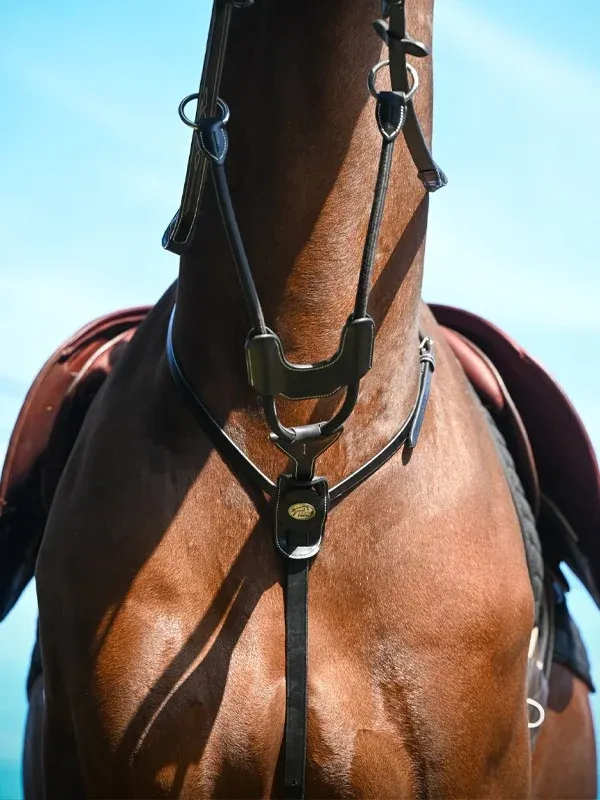 Paiement Scuris Martingale lastique Jump'In anneaux Week - Cheval - Noir