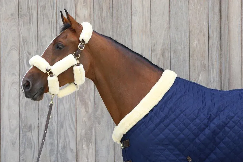 Longe de prsentation Kentucky - 2 m - Marron Expdition Rapide