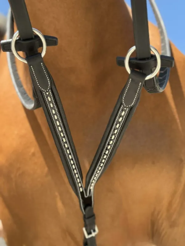 Flche de martingale Pnlope Point sellier - Cheval - Noir Livraison Express