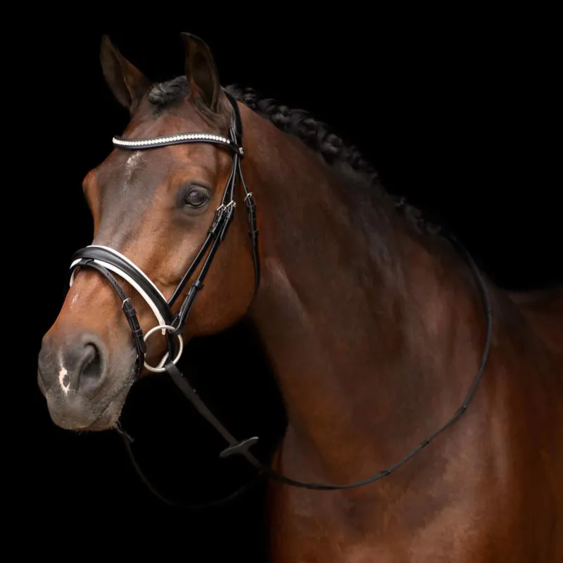 Bridon HV Polo Legacy deluxe - Cheval - Noir blanc Prix Choc
