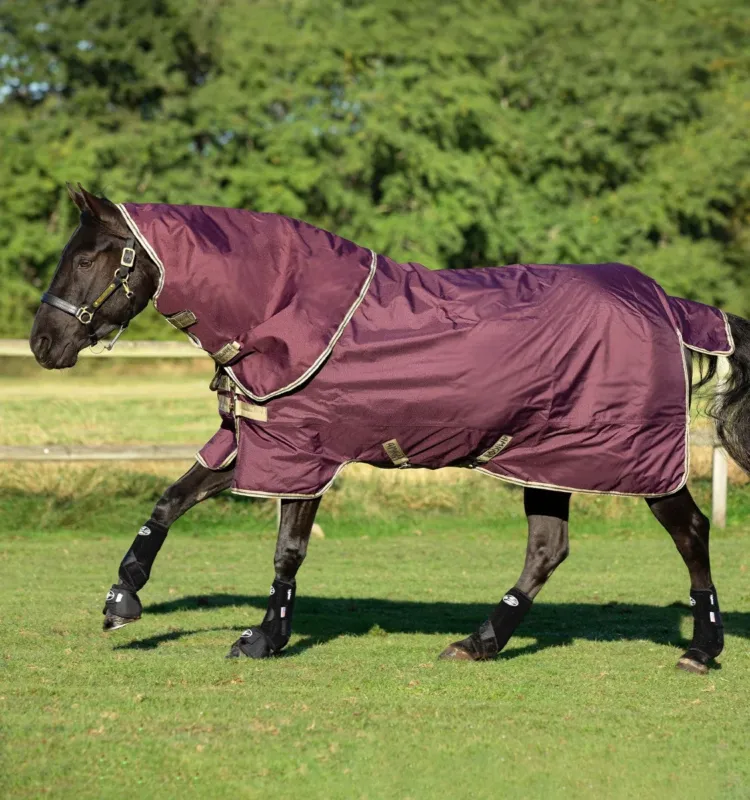 Couverture Horseware Amigo Hero Ripstop Plus avec couvre Cou 0g 600D - 115 cm - Figue / marine Prix Promo