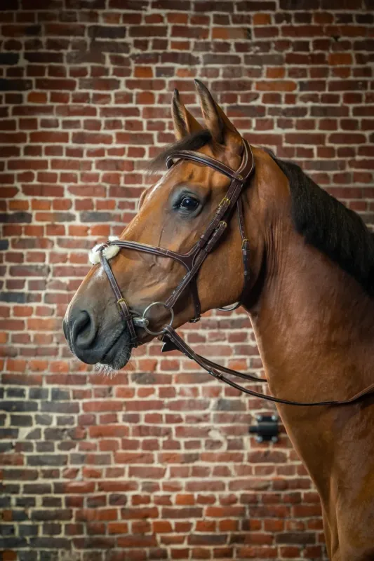 Bridon Muserolle Croise D Collection by Dy'on - Grand cheval - Brun Vente Directe