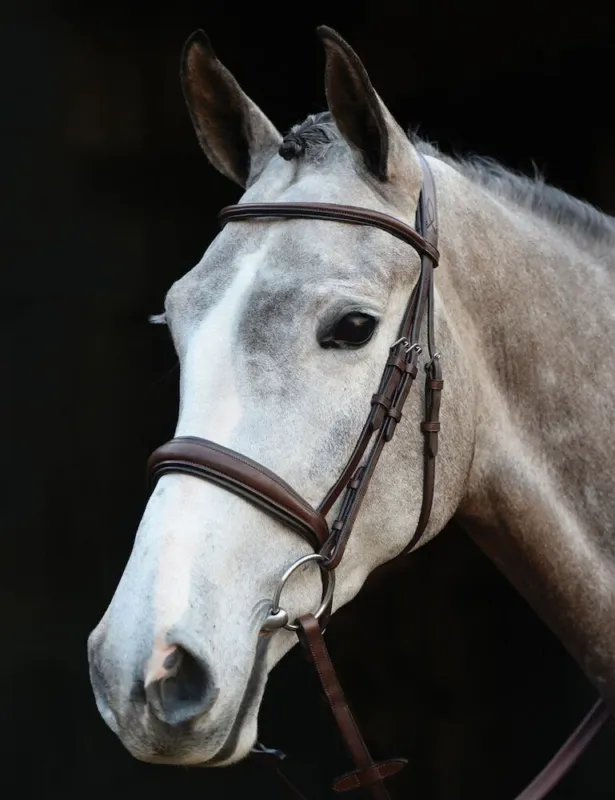 Bridon Collegiate ttire Mono Crown - Grand cheval - Marron Vente Flash