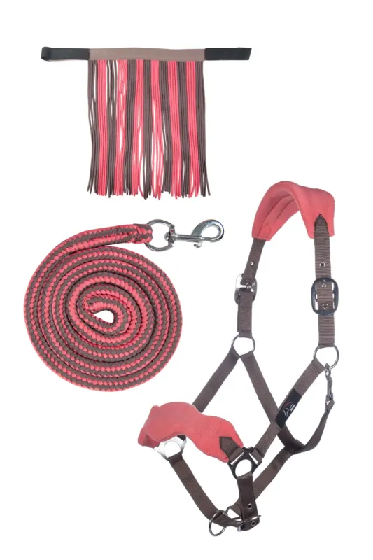 Jusqu puisement Des Stocks Set de licol HKM mousqueton & franges dtachables - Poney - Moka / milky pink