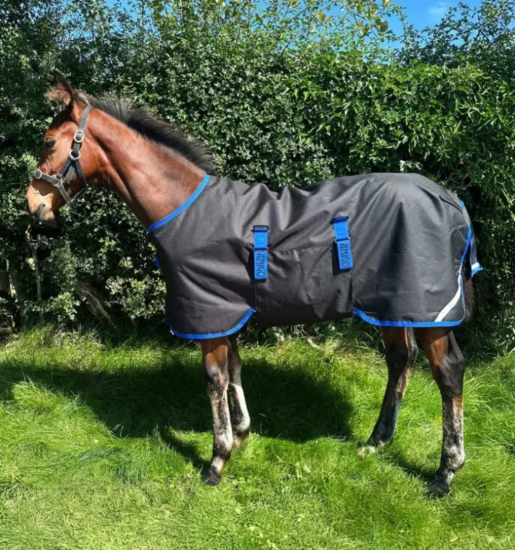 Couverture Horseware Amigo Ripstop 900D Petite Turnout 200g - 80 cm - Noir / bleu classique Offre Spciale