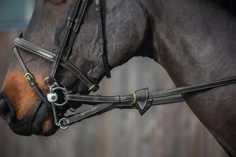 Rnes A Alliances Caoutchouc 1/2 Avec 7 Arretoirs D Collection by Dy'on - Poney - Noir Livraison Gratuite