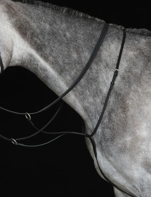 Petit Prix Martingale plate IV Collegiate - Grand cheval - Noir