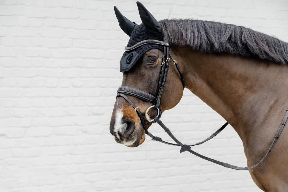 Satisfait Ou Rembours Frontal Tress V Dy'on D Collection - Grand cheval - Noir
