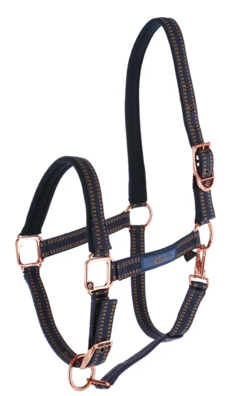 Marque Licol cheval Royal Covalliero - Shetland - Bleu / caramel