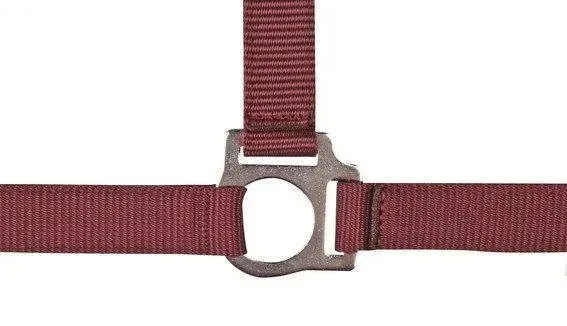 Licol Stars Economy HKM - Cheval de trait - Rouge fonc Certifi