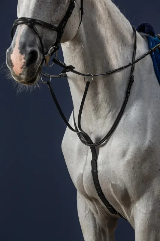 Must-Have Martingale A Anneaux New English Collection by Dy'on - Cheval - Noir