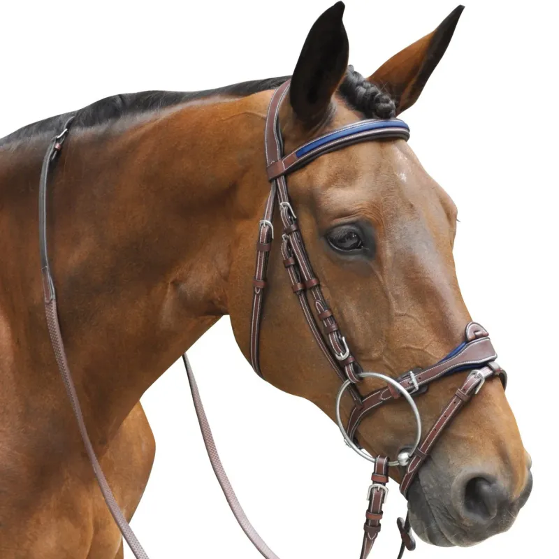 Expdi Aujourdhui Bridon Flags & Cup Paris combin - Cheval - Marron / marine