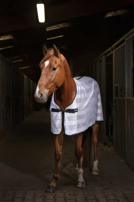 Chemise Riding World Mesh - 150 cm - Blanc Achat Immdiat