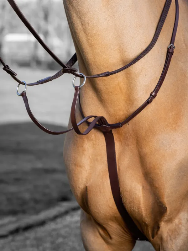 Martingale anneaux LeMieux Arika - Cheval - Havane / argent Jusqu puisement Des Stocks