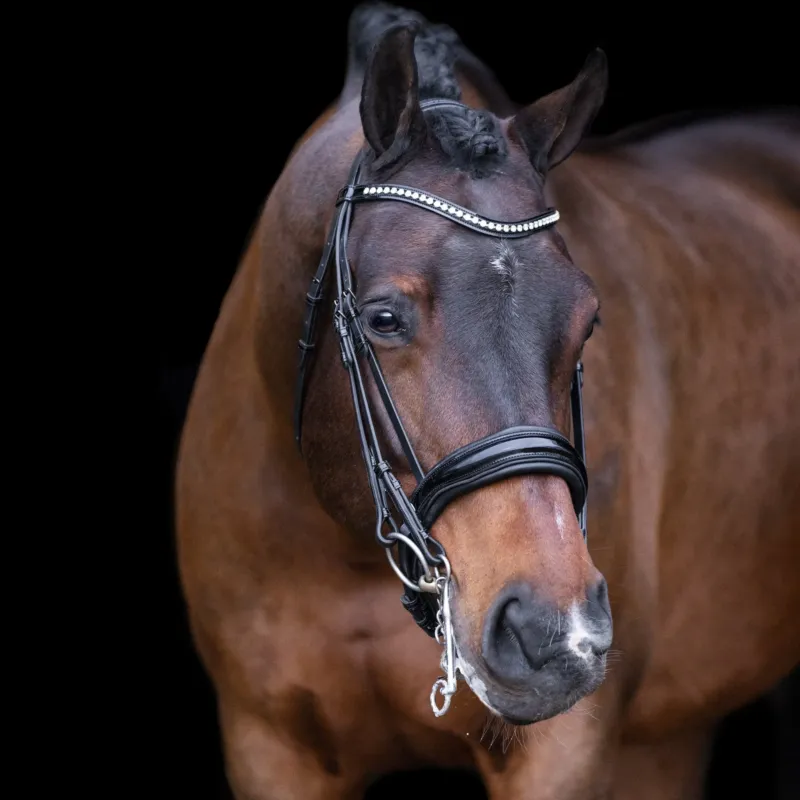 Commande En Gros Bride Imprial Riding Athena - Cheval - Noir